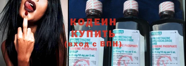 сатива Вяземский
