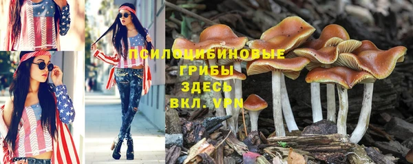 каннабис Волоколамск