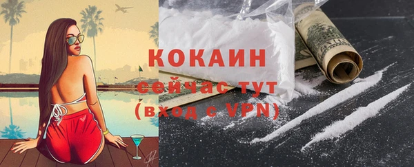 сатива Вяземский