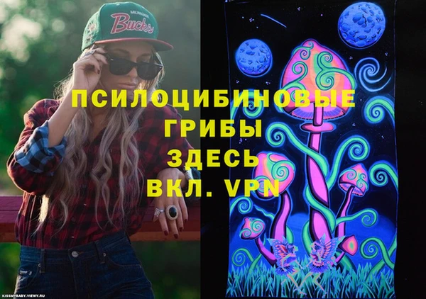 твердый Вязники